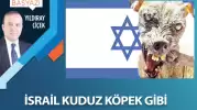 İsrail kuduz köpek gibi