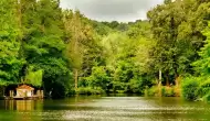 Atatürk Arboretumu Giriş Ücreti (2024) Atatürk Arboretumu'na nasıl gidilir?