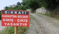 Tunceli'nin Pertek ilçesi ve köylerinde 30 günlük karantina başladı