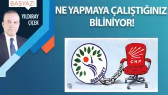 Ne yapmaya çalıştığınız biliniyor!