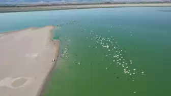 Yedikır Baraj Gölü 170 kuş türüne ev sahipliği yapıyor