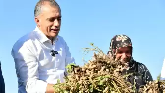 Osmaniye Belediye Başkanı Çenet çiftçilerle hasat yaptı: Fıstık gibi bir memleketteyiz