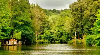 Atatürk Arboretumu Giriş Ücreti (2024) Atatürk Arboretumu'na nasıl gidilir?