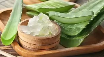 Aloe veranın cilde faydaları nelerdir? Doğal güzellik ve bakım için aloe vera kullanımı