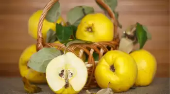 Ayva diyetiyle sadece 3 günde 3 kilo vermek mümkün