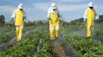 Son günlerin en çok konuşulan konular arasında! Pestisit nedir? Pestisitin zararları nelerdir?