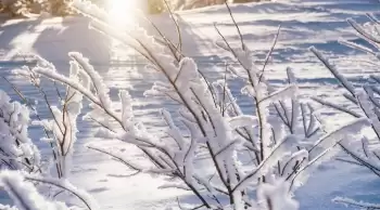 Zemheri Hangi Aylarda ve Kaç Gün Süreyle Etkili Oluyor?