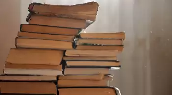 Kitap kurdu nedir ve nasıl kurtuluruz? Kitap kurdu kitaplara zarar verir mi?