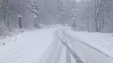 İstanbul'a 1,5 saatlik mesafede lapa lapa kar yağıyor!