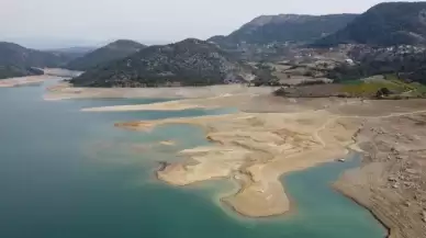 Adana'da depremin ardından şimdi de başka bir endişe! "Büyük sıkıntı yaşıyoruz"