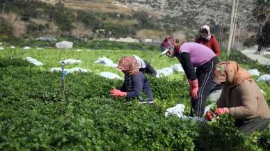 Üreten depremzedeler bölgenin ihtiyacını karşılamaya çalışıyor…