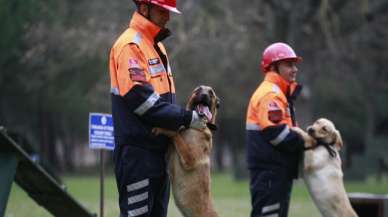 TSK’nın arama köpekleri enkazdan 78 kişiyi kurtardı