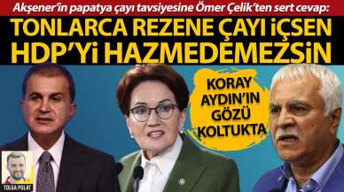 Akşener’in papatya çayı tavsiyesine Ömer Çelik’ten sert cevap: Tonlarca rezene çayı içsen HDP’yi hazmedemezsin