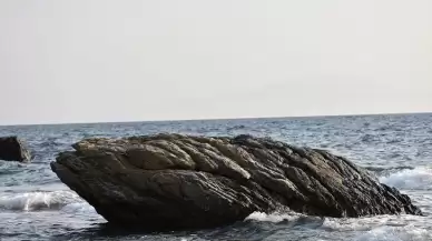 Dünyanın en ücra yerlerinden Gough Adası’nda çalışacak biri aranıyor