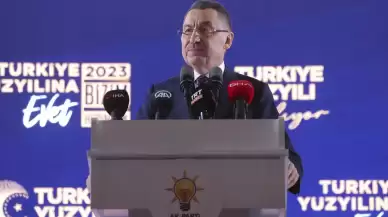 Cumhurbaşkanı Yardımcısı Oktay: İçerideki ve dışarıdaki güçler Cumhurbaşkanı'mıza karşı bir birlik oluşturmuş durumdalar