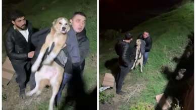 İftara giderken köpeğin hayatını kurtardı