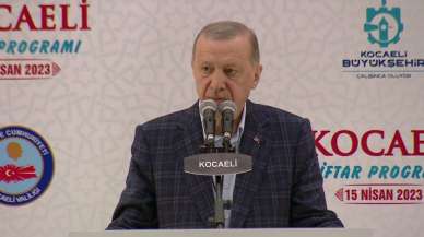 Cumhurbaşkanı Erdoğan: Bunlar siyasi mefta olacak