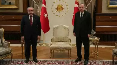 Cumhurbaşkanı Erdoğan Mustafa Şentop'u kabul etti