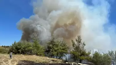 Adana'da orman yangını: Müdahale başladı