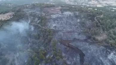 Çanakkale'deki orman yangını kontrol altına alındı