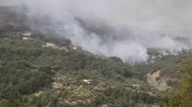 Hatay'da orman yangını: Havadan ve karadan müdahale ediliyor