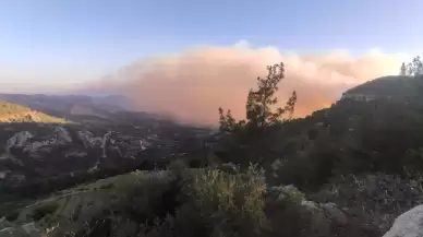 Manisa ve İzmir'de çıkan 9 orman yangını söndürüldü