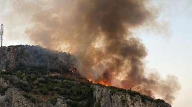 Muğla'da makilik alanda çıkan yangına müdahale ediliyor