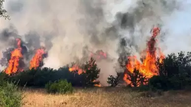 Valilikten sıcak ve yangın uyarısı