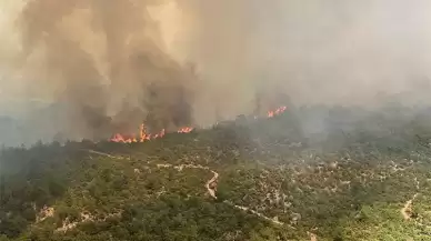 AFAD duyurdu! Yardım ödemeleri başladı