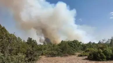 Kütahya'da orman yangını