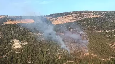 Mersin'de çıkan yangın kontrol altında