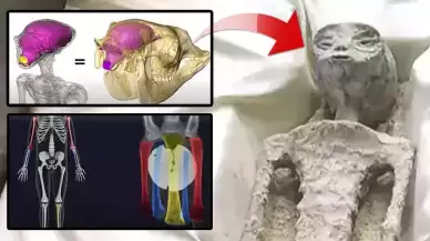 Meksika'da sergilenen 'uzaylı'ların arkasındaki gerçek! Her şey bir kurgu mu?