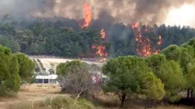 İzmir'de orman yangını