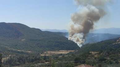 Manisa'da orman yangını