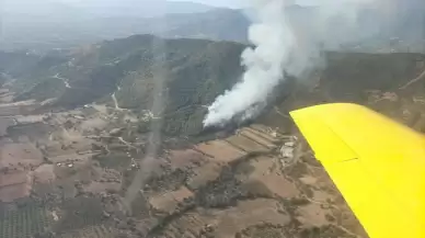 İzmir'deki orman yangınına havadan ve karadan müdahale ediliyor