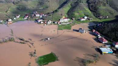 Sakarya Nehri taştı, tarım arazileri sular altında kaldı