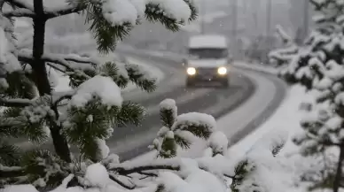 Kar kalınlığı 40 santimetreyi buldu!  207 köy yolu ulaşıma kapandı!