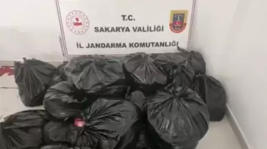 Tırda 700 kilo at ve eşek eti ele geçirildi: "Sucuk yapacaktık"