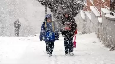 Artvin'in Ardanuç ve Yusufeli ilçelerinde eğitime 1 gün ara