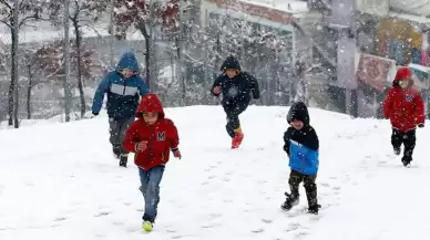 Artvin'de 6 ilçede okullara kar engeli