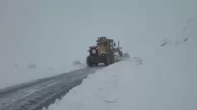 Doğu Anadolu'da şiddetli kar 4 ilde ulaşımı felç etti