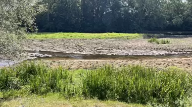 Tunca Nehri'ndeki debideki azalma çeltik üreticilerini endişelendiriyor