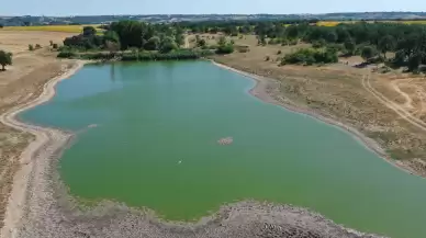 Edirne'de balık ölümleri arttı! İnceleme başlatıldı