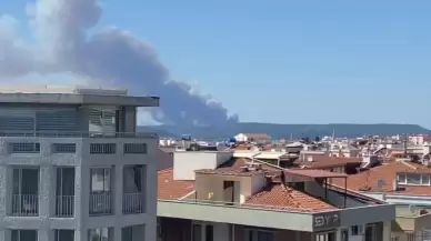 Çanakkale'de orman yangını: Gemi trafiği askıya alındı