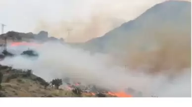 Hakkari'de anız yangını yerleşim yerlerine sıçradı