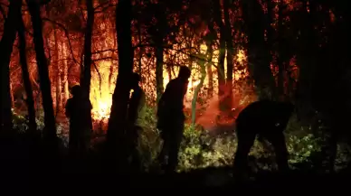 Bakanlık'tan Kuşadası'na sıçrayan yangınla ilgili açıklama