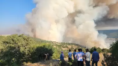 Balıkesir'in Susurluk ilçesinde orman yangını