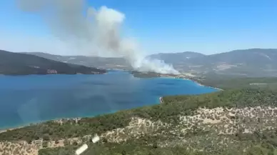 Milas’ta orman yangını