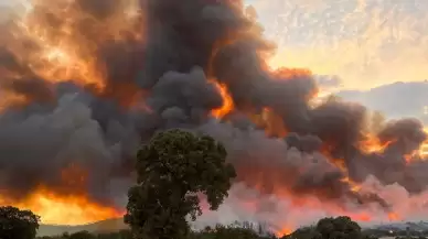 Uşak'taki orman yangını kontrol altında