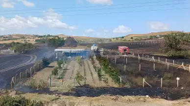 Silivri'de anız yangını! Çok sayıda ekip sevk edildi